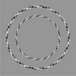 Concentric Circles.JPG
