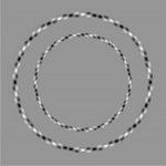 Concentric Circles.JPG