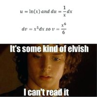 math-calculus-memes-humor-math-meme-elvish-calculus-home-improvement-wilson-fence.jpg