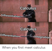 calculus-differentiation-calculus-differentiation-integration-when-you-first-meet-calculus-580...png