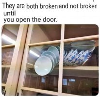 SchrodingersPlate .jpg