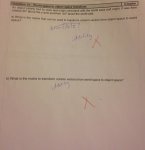 Photo 25-09-14 7 31 00 pm.jpg