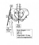 Screenshot 2016-02-23 at 8.13.17 PM.jpg