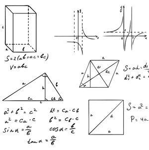 homework help online math